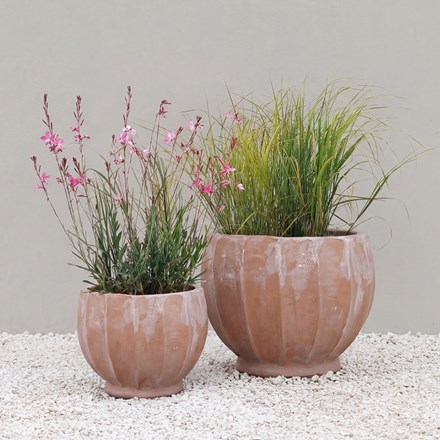 Terracotta ribbed bowl planter - small