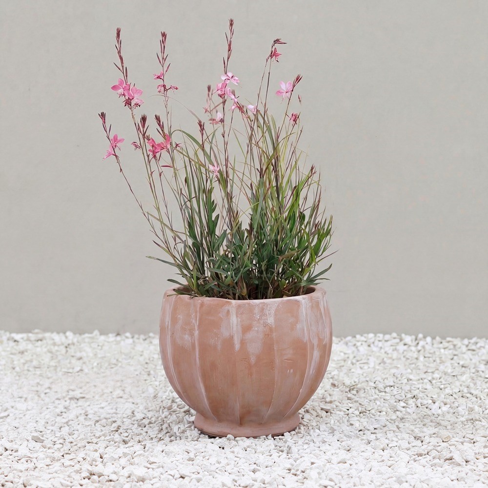 Carra Round Terracotta Planter