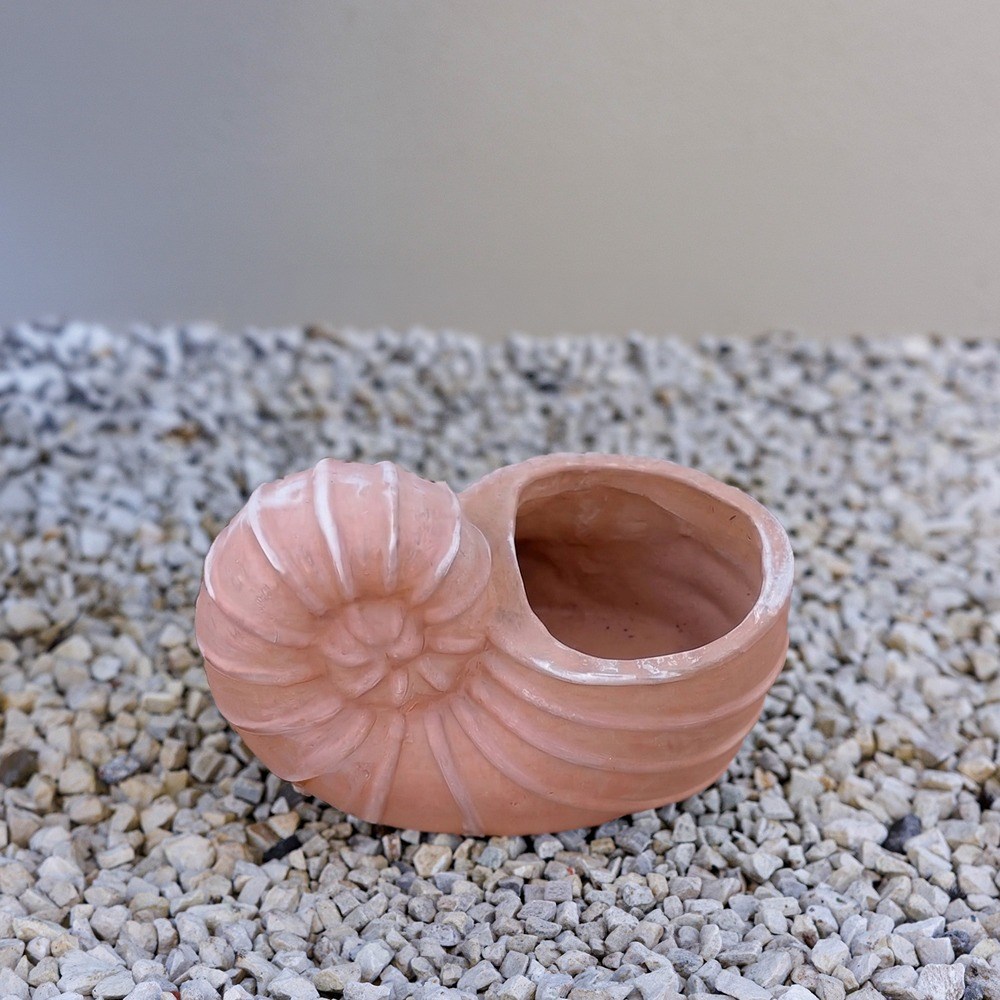 Siena Shell Terracotta Planter