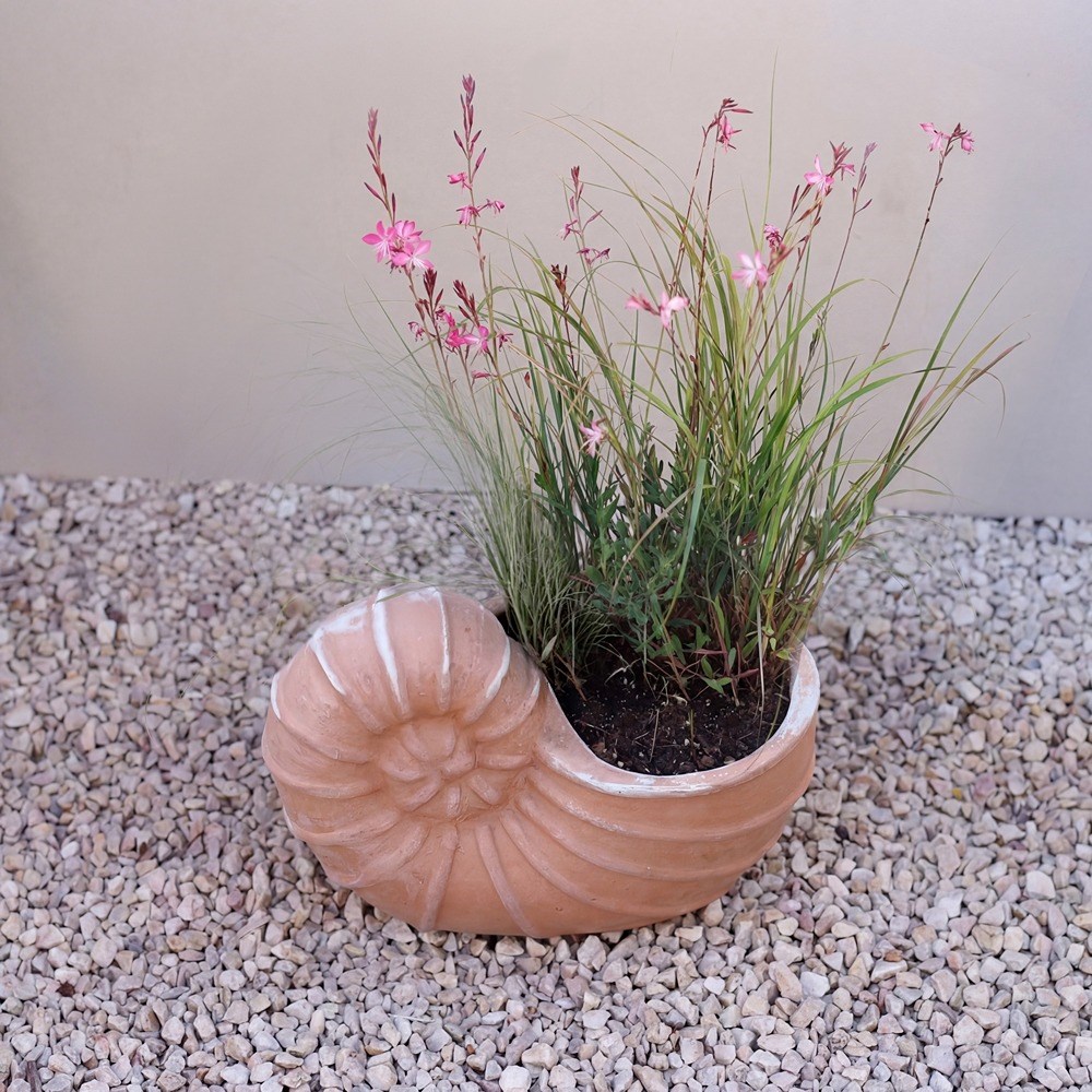Siena Shell Terracotta Planter