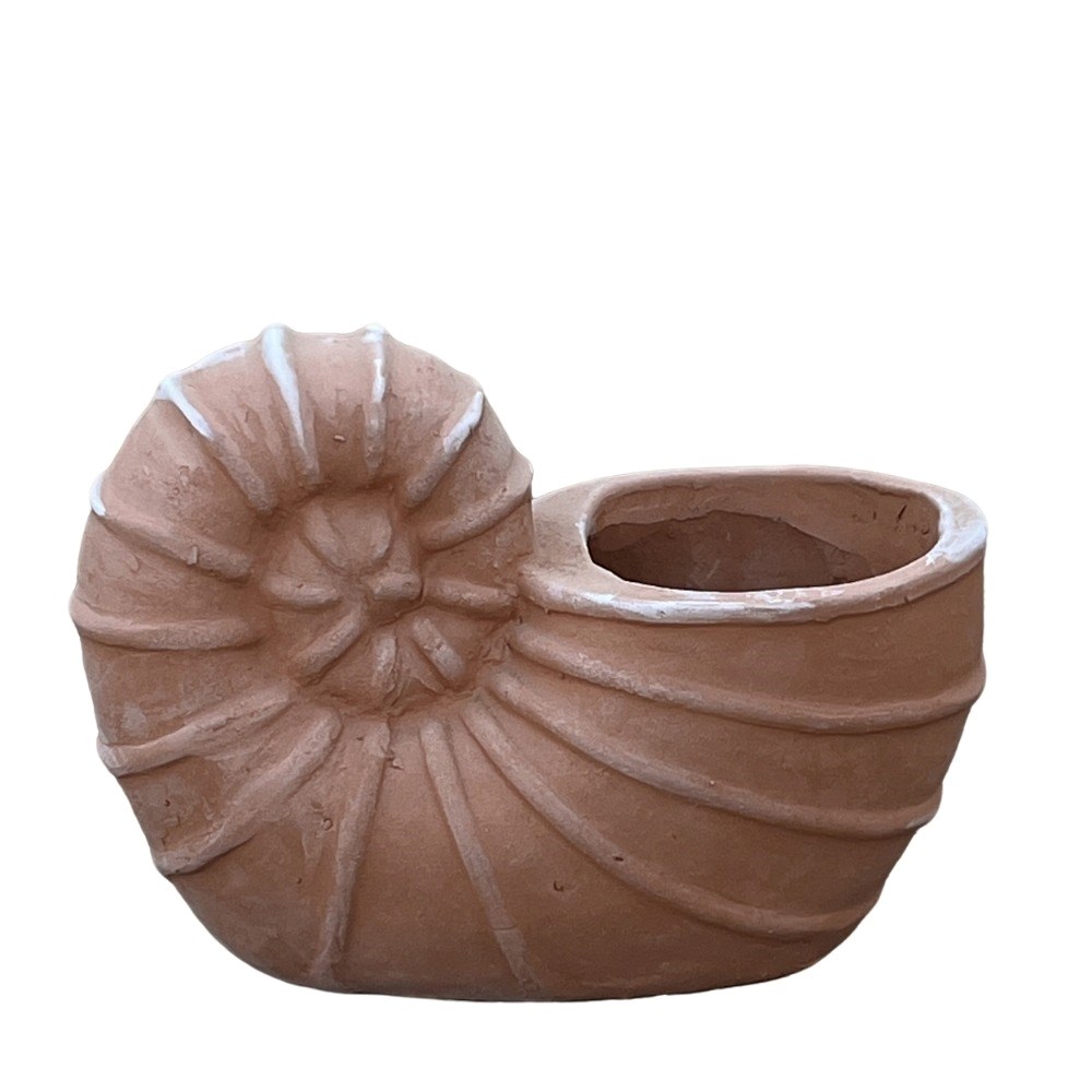 Siena Shell Terracotta Planter