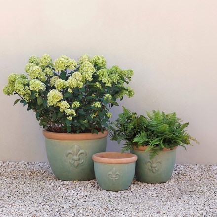 FLEUR DE LYS FARMER PLANTER - SMALL