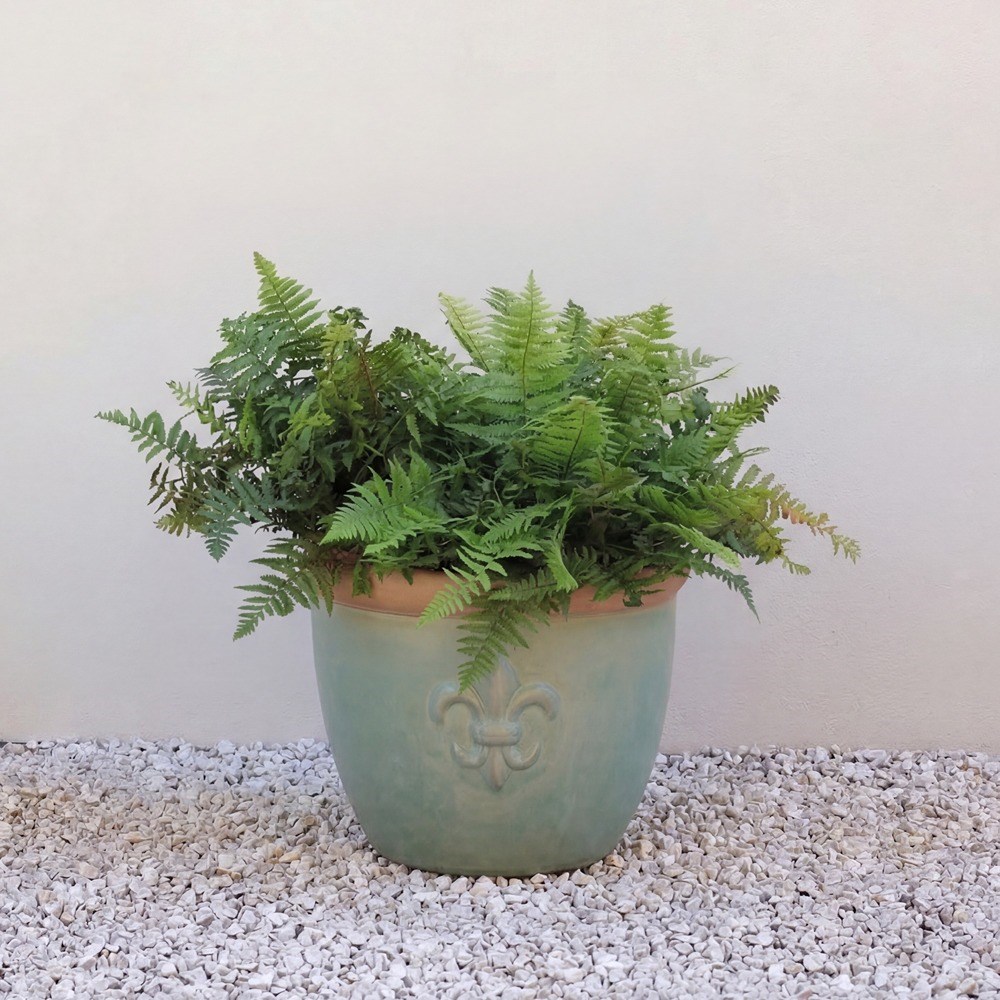 Fiore Fleur De Lys Planter