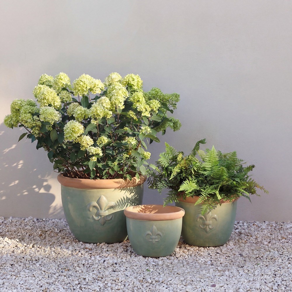 Fiore Fleur De Lys Planter