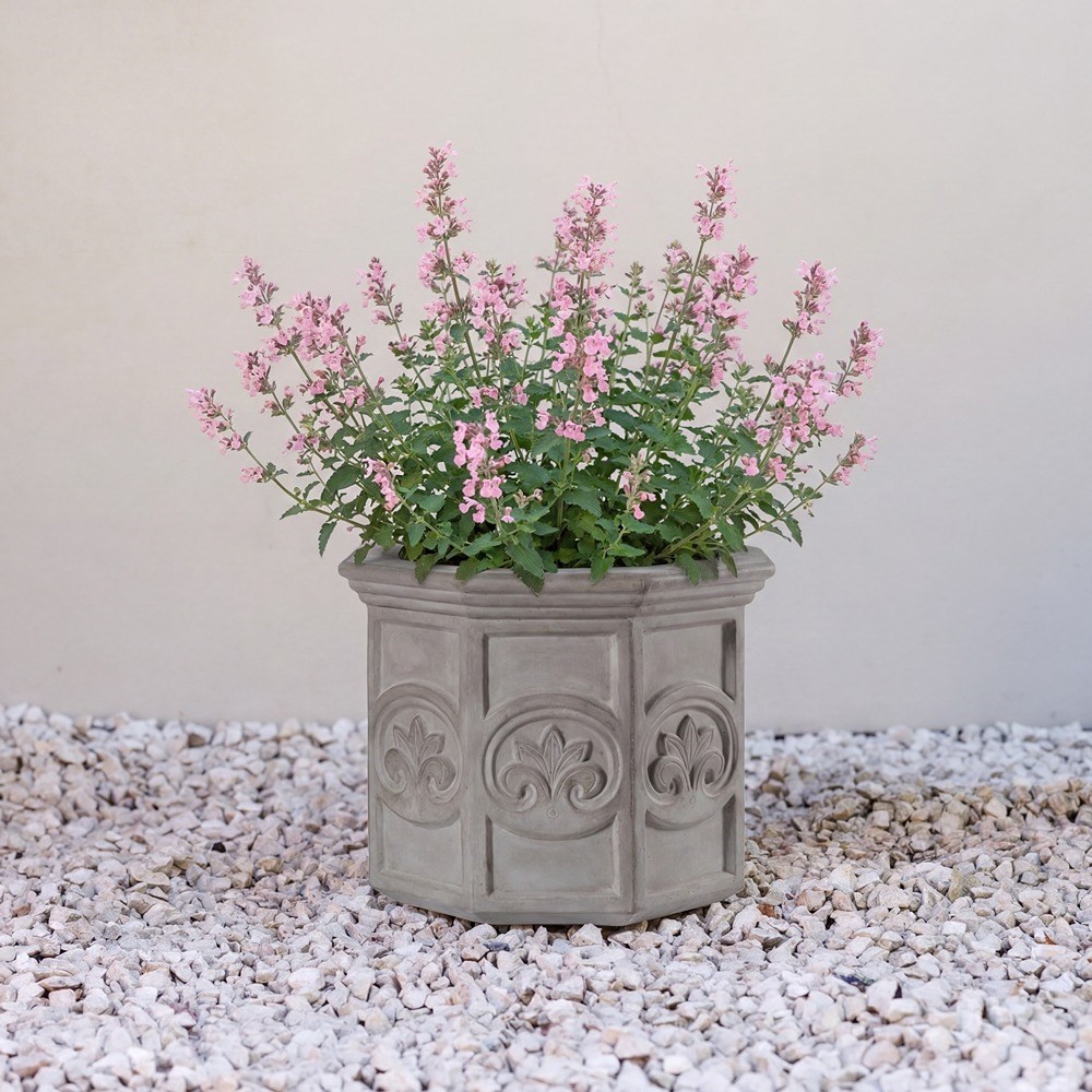 Galgano Hexagon-Shaped Concrete Planter