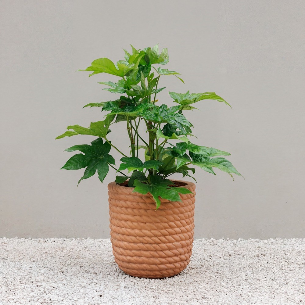 Rope Design Round Planter