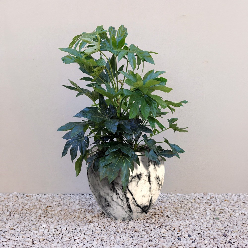 Martino Marble-Effect Planter