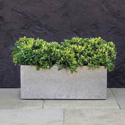 Grey stone finish zinc trough planter - Large