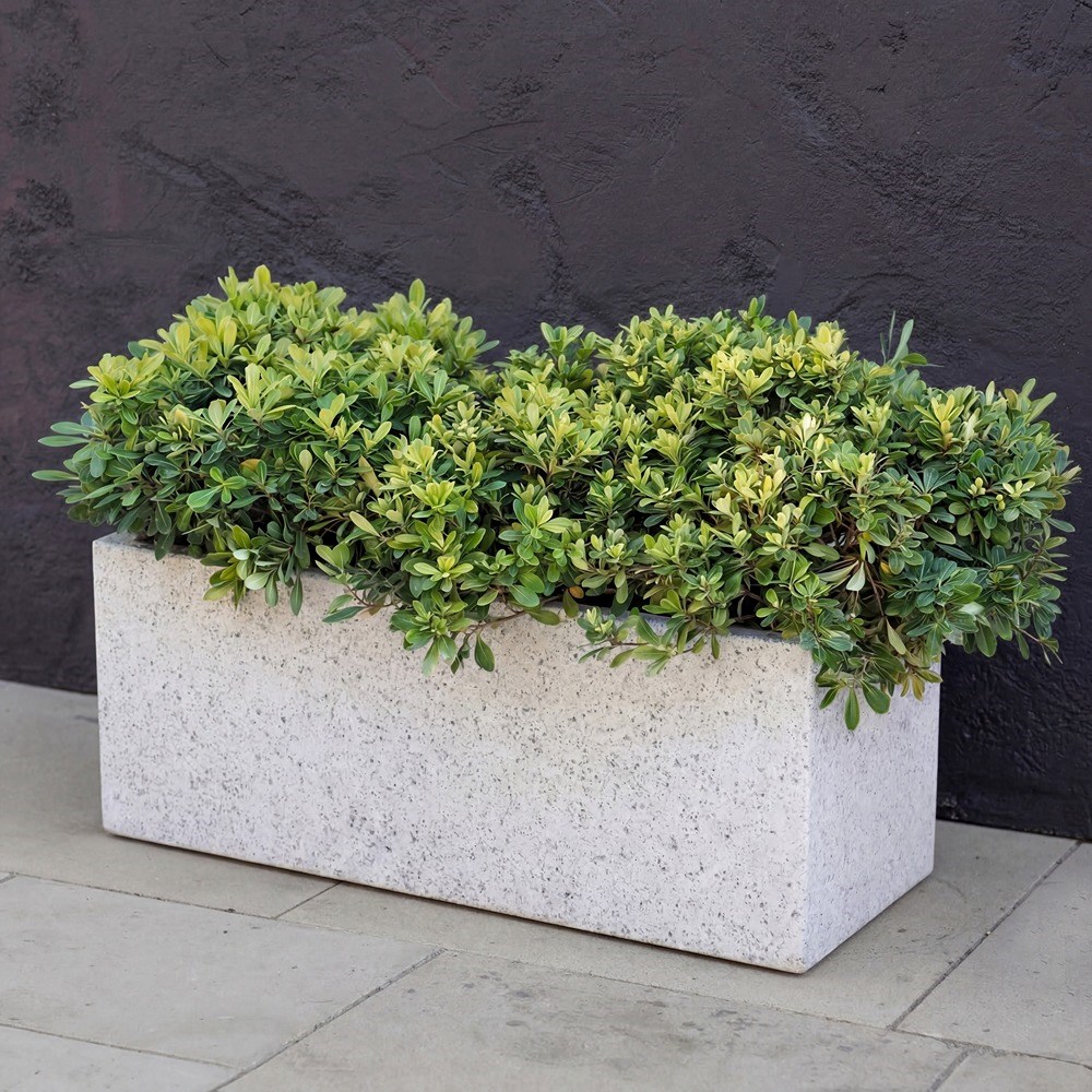 White Stone Finish Zinc Trough Planter