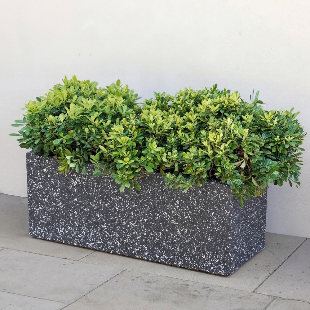 Black Stone Finish Zinc Trough Planter