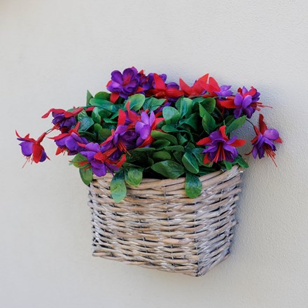 FUCHSIA WALL HANGING BASKET