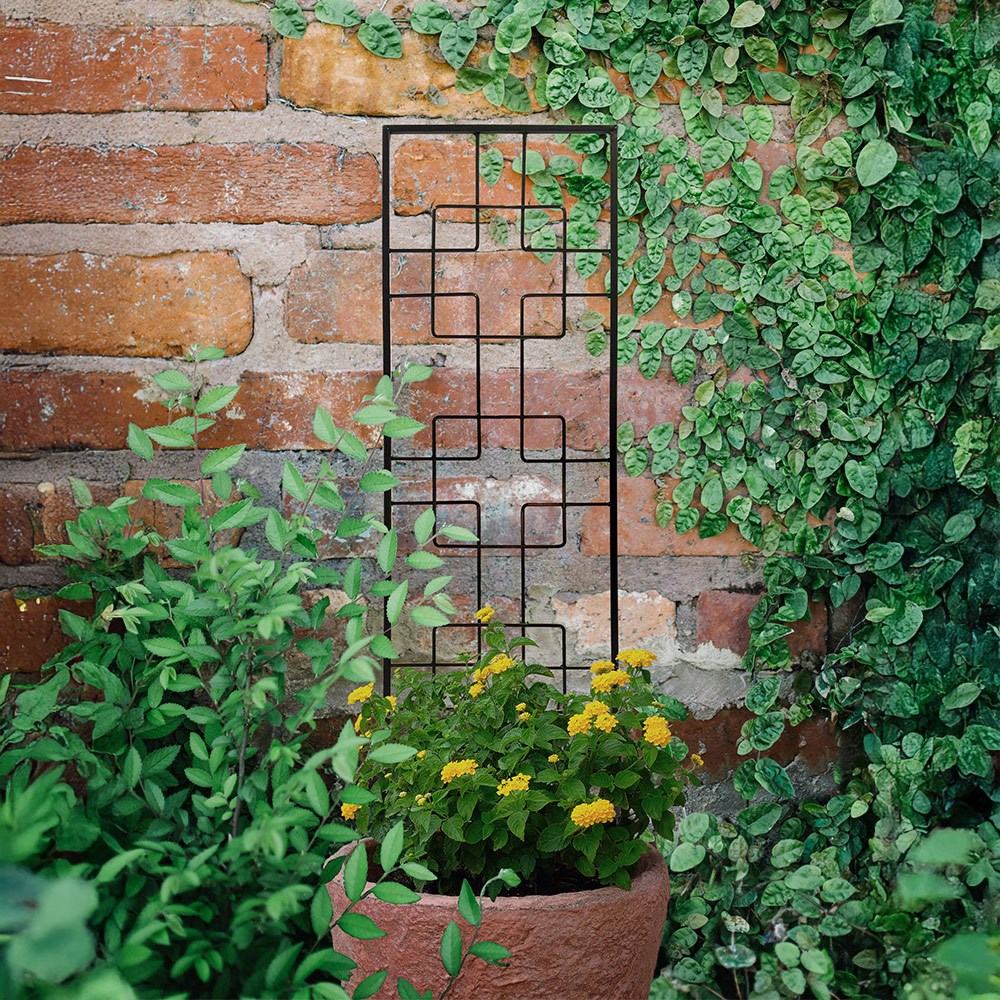 Zen Decorative Steel Pot Trellis