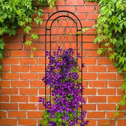 Twist Wire Trellis Black Garden Design