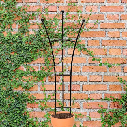 Ball Fan Decorative Pot Trellis