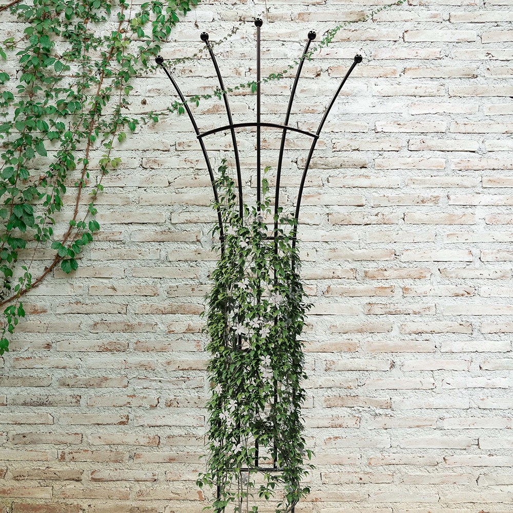 Ball Fan Decorative Steel Garden Trellis
