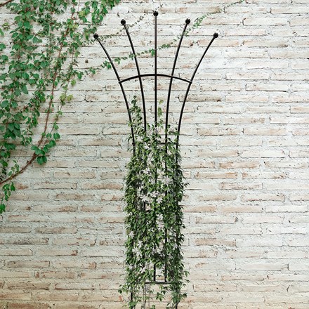 Ball Fan Garden Trellis Black Finish