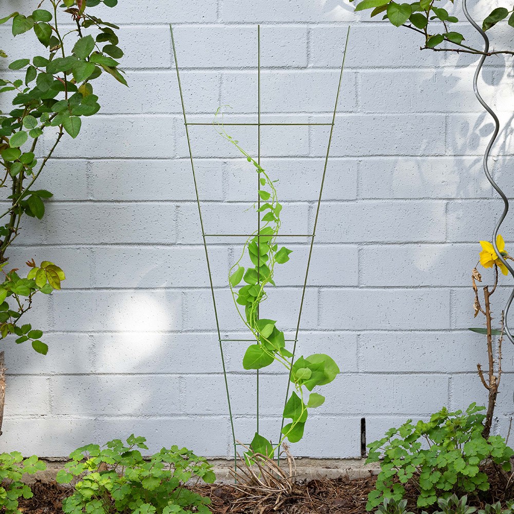 Fan Decorative Steel Garden Trellis