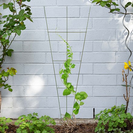 Fan Trellis – Classic Green Finish