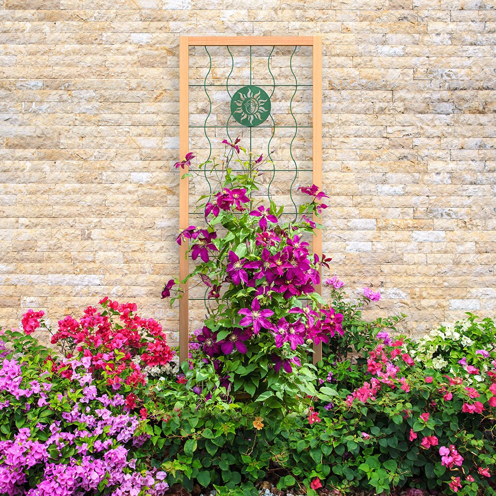 Sun Face Decorative Steel Garden Trellis