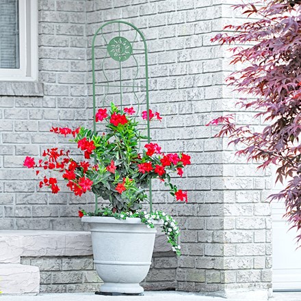 Sun Face Pot Trellis Decorative Wire Design