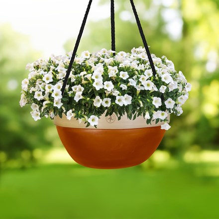 Bamboo Hanging Basket with Colour Accents