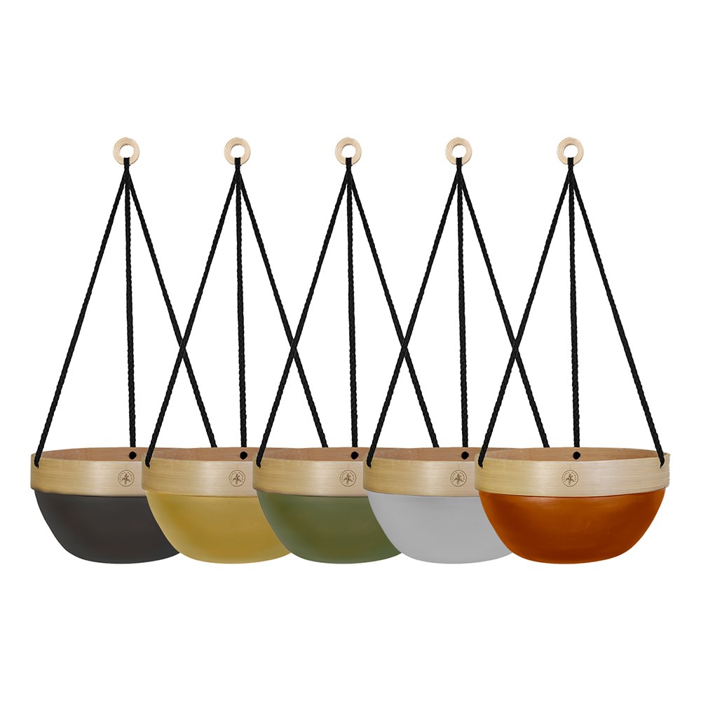 Hanging Basket with Colour Accent Design