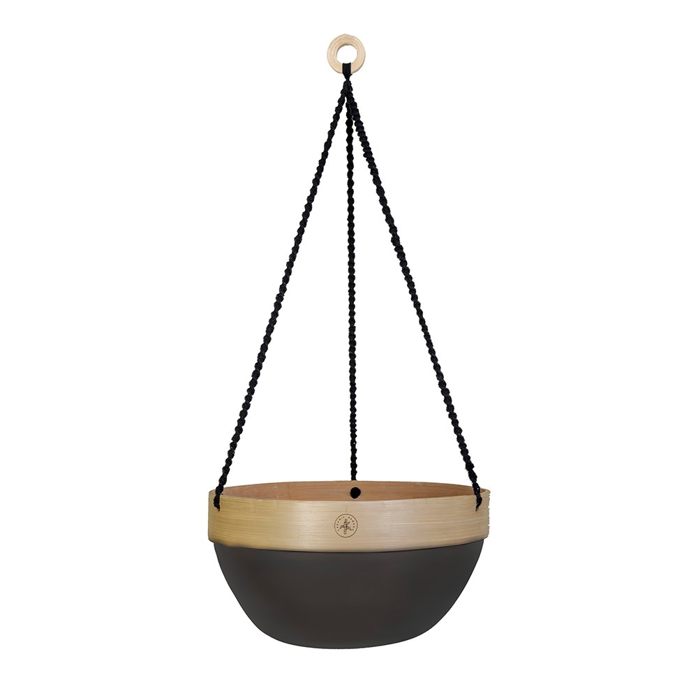 Hanging Basket with Colour Accent Design