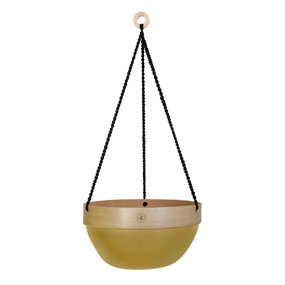 Hanging Basket with Colour Accent Design