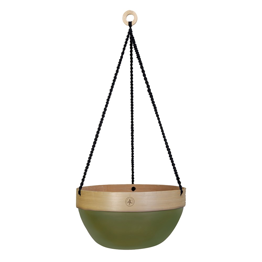 Hanging Basket with Colour Accent Design