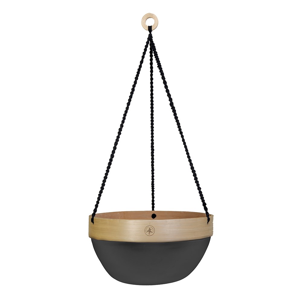 Hanging Basket with Colour Accent Design