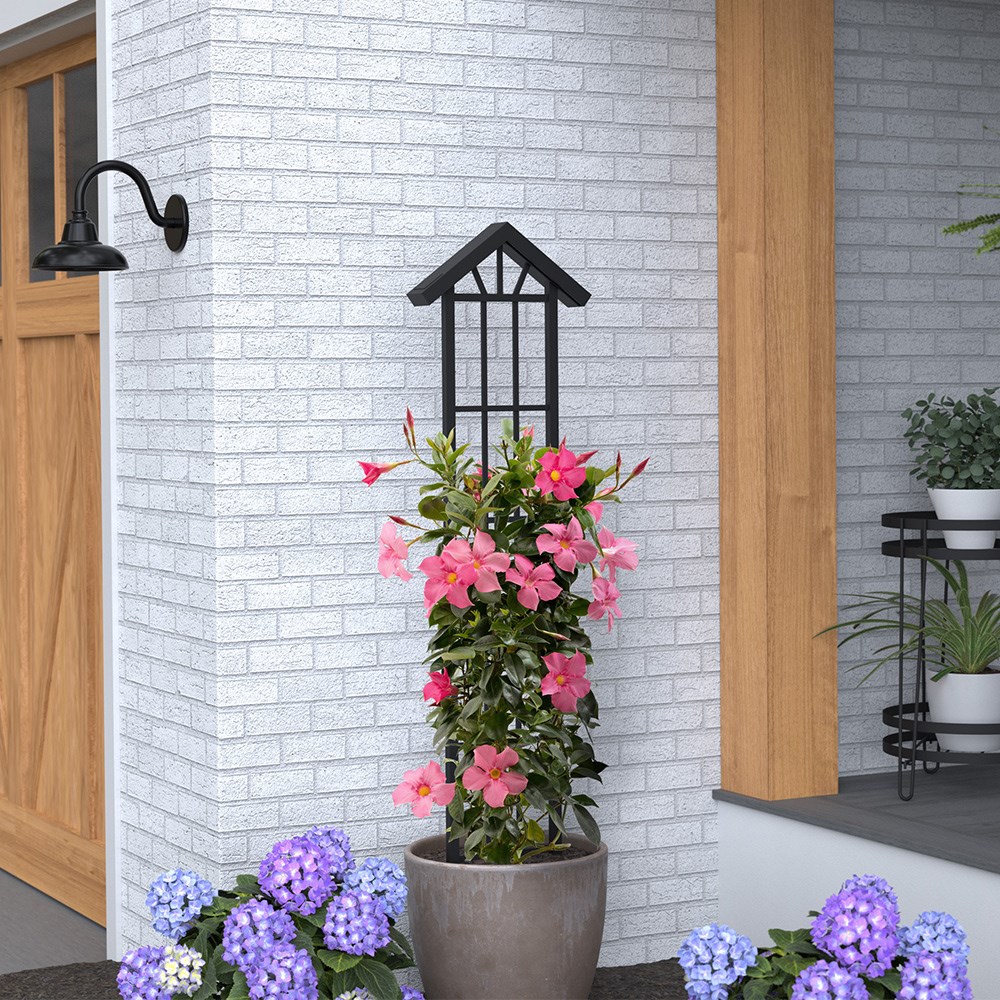 Northern Lights Steel Pot Trellis with Solar Lights