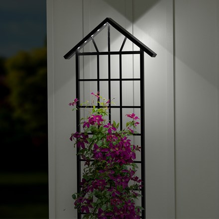 Northern Lights Trellis with Solar Lights