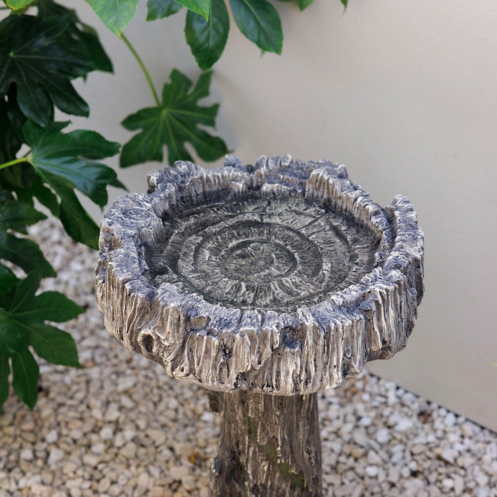 Teviot Tree Design Bird Bath