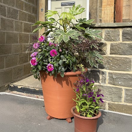 Extra Extra Large XXL Tree Pot | Terracotta