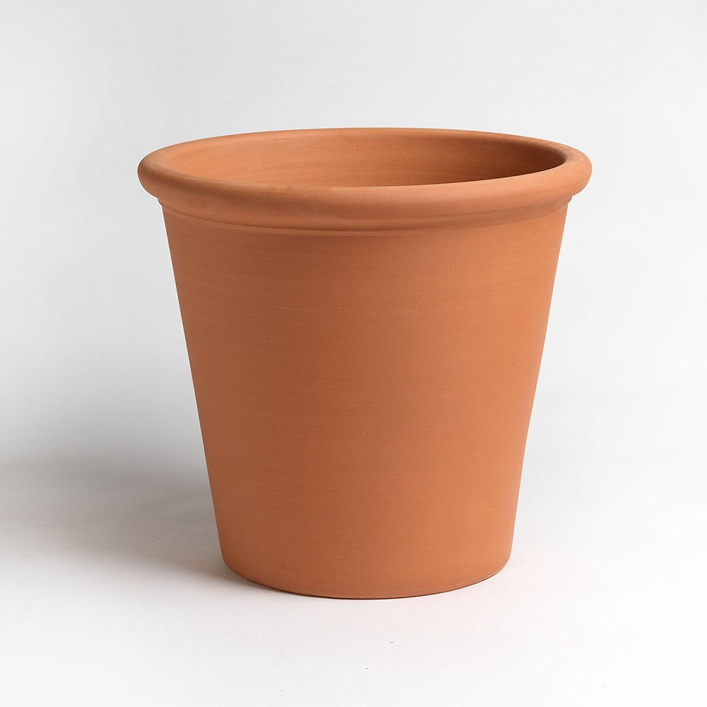 Terracotta Tree Pot