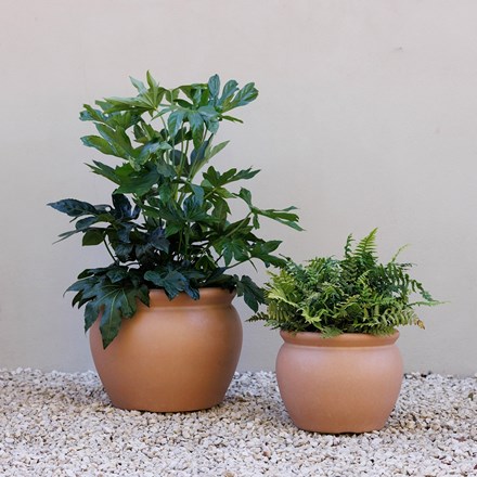 Aged Lite - Classic terracotta-style bowl plastic planter - large