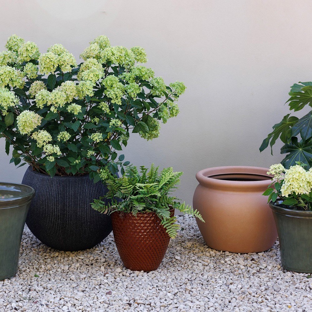 Terracotta Style Round Outdoor Bowl Planter