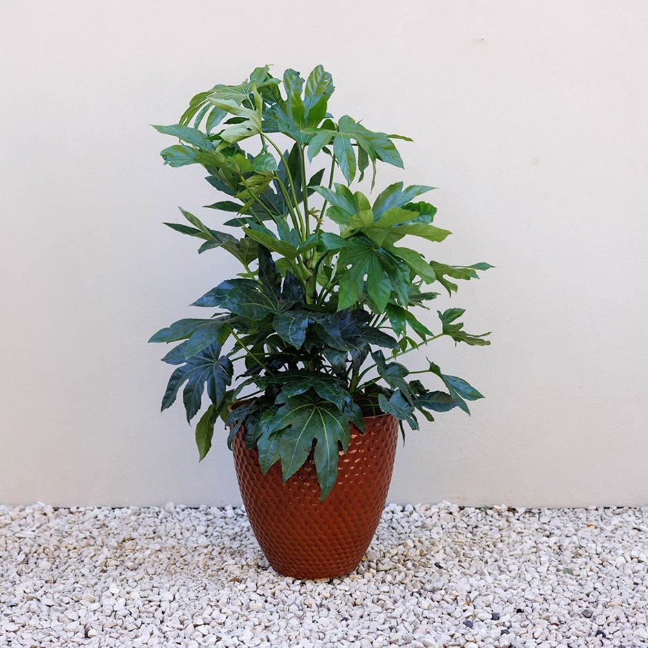 Dimpled Glazed Look Round Outdoor Planter