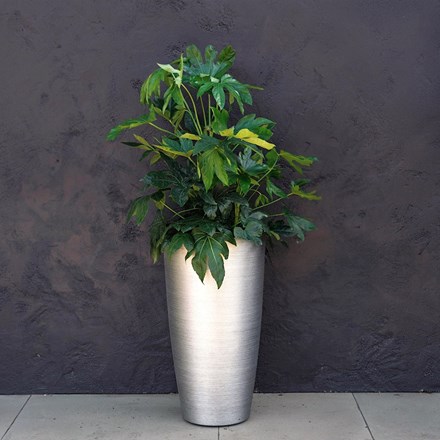 Brushed silver flared cylinder plastic planter - large