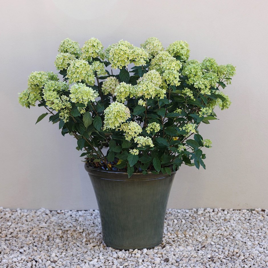 Glazed Ceramic Look Tapered Outdoor Planter
