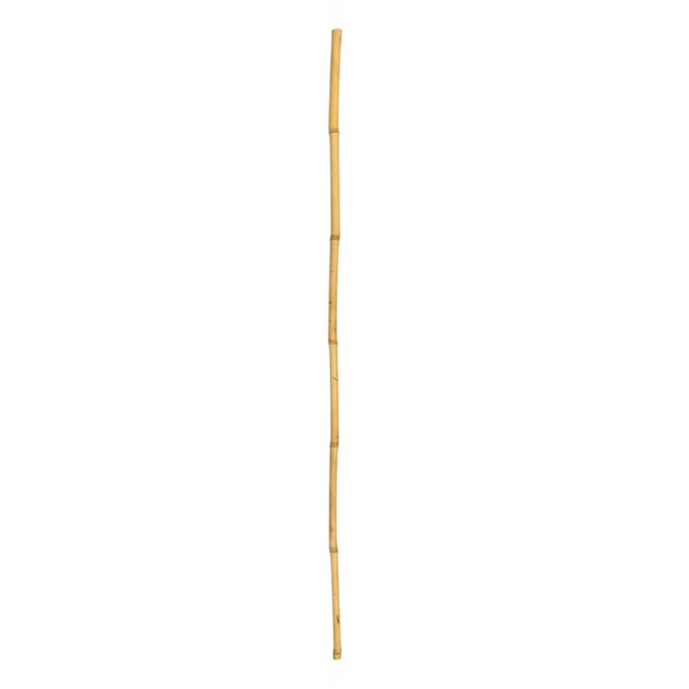 Bamboo Cane 120cm