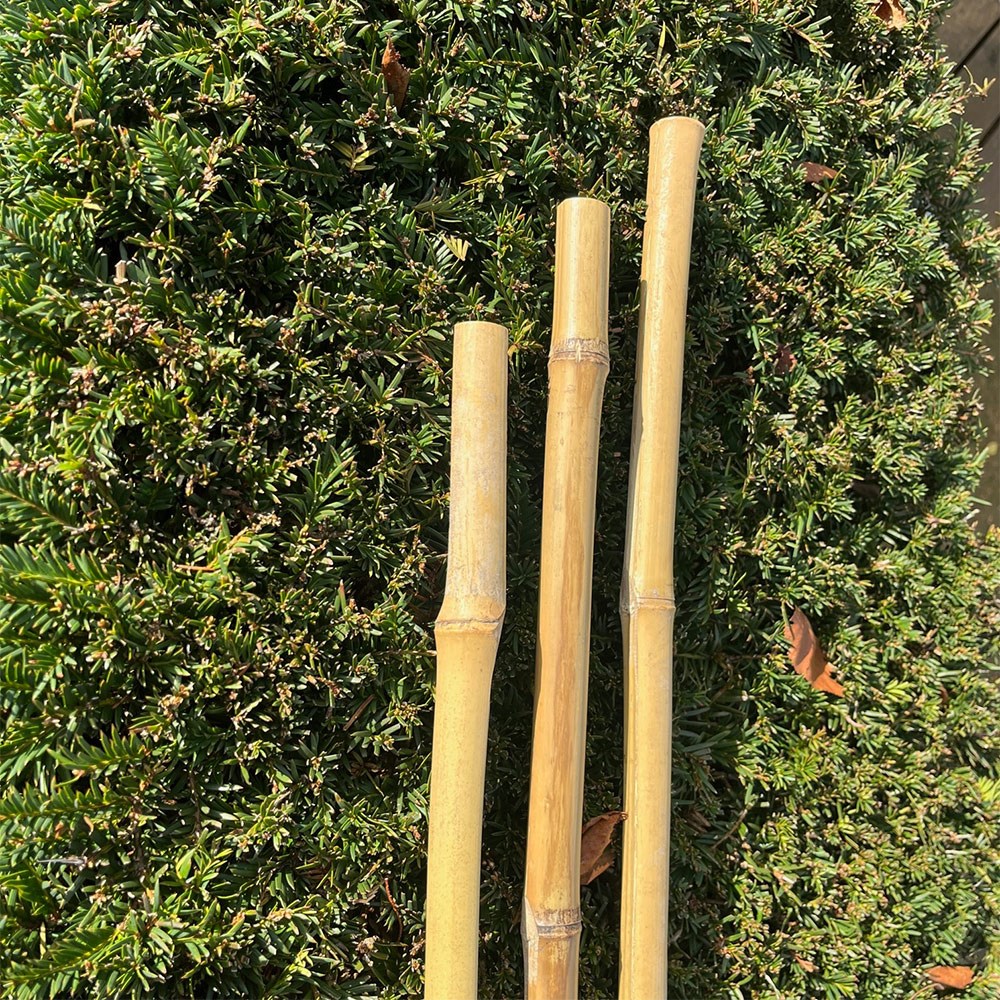 Bamboo Cane 120cm
