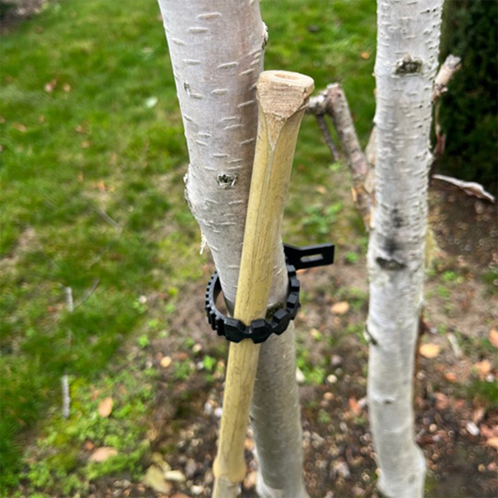 One Bamboo Stake and Tie Kit - 1.2m