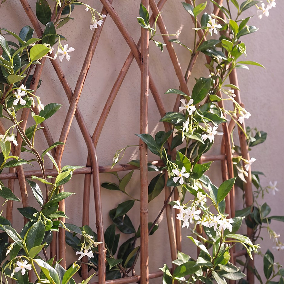 Arched Willow Garden Trellis Panel