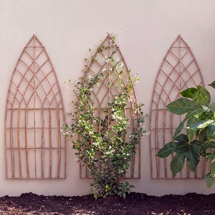 Willow Trellis Pointy 150x45
