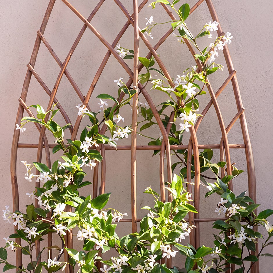 Arched Willow Garden Trellis Panel