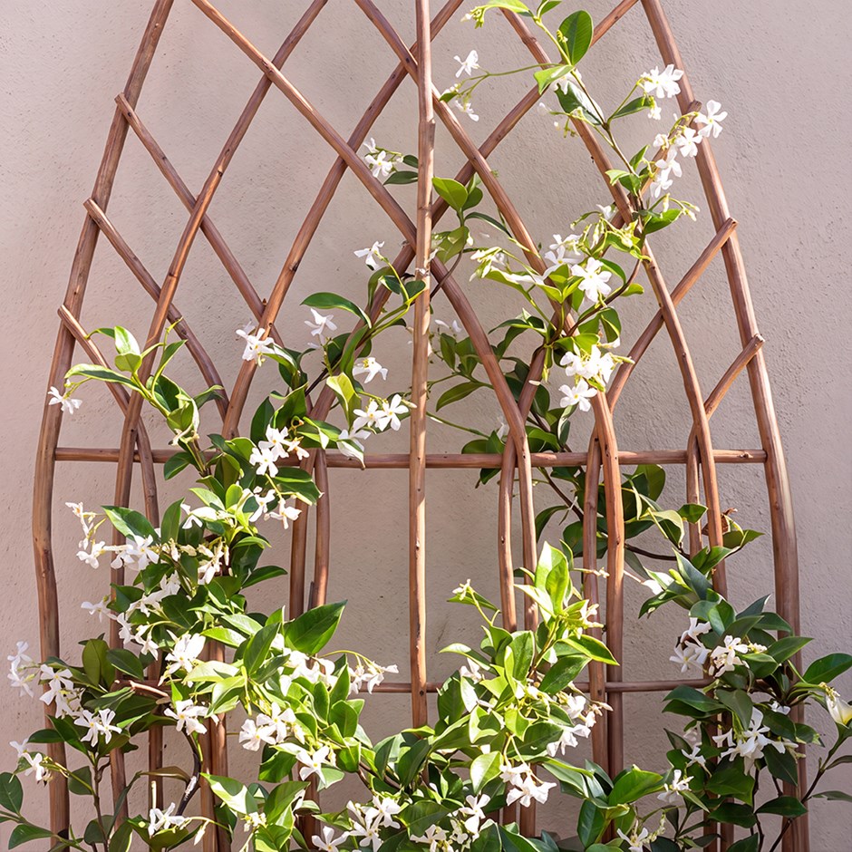 Arched Willow Garden Trellis Panel
