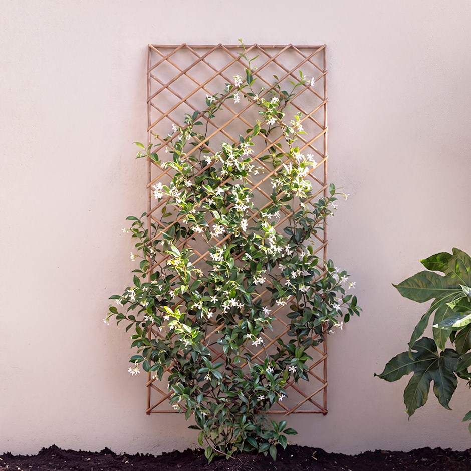 Square Willow Garden Trellis Panel