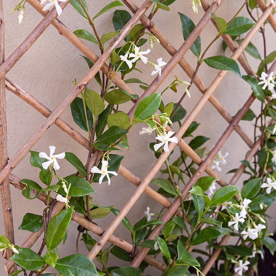 Square Willow Garden Trellis Panel