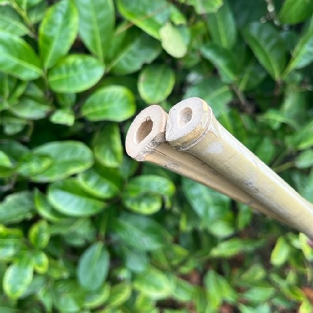 Essential Tree Planting Kit - Empathy Rootgrow, Bamboo Stake & Tie